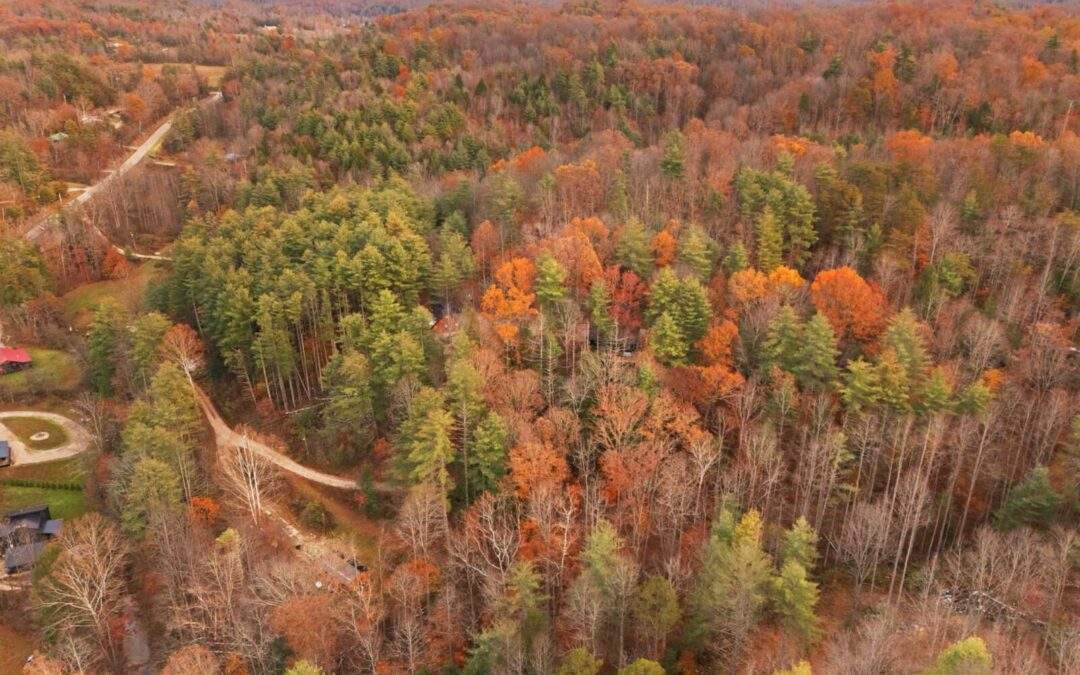 Red River Gorge Management Plan: A Guide to the Future of the Gorge