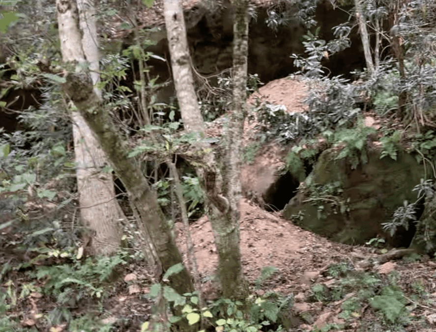 RED RIVER GORGE TOURISM: KENTUCKY’S RISING GEM SET TO DOUBLE VISITORS BY 2030
