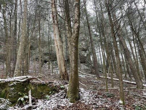 Red River Gorge KY Land for Sale – Lot 2 Red River Gorge KY Land for Sale – Lot 2